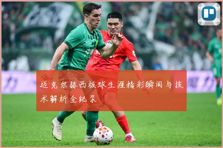 迈克尔赫西板球生涯精彩瞬间与技术解析全纪录