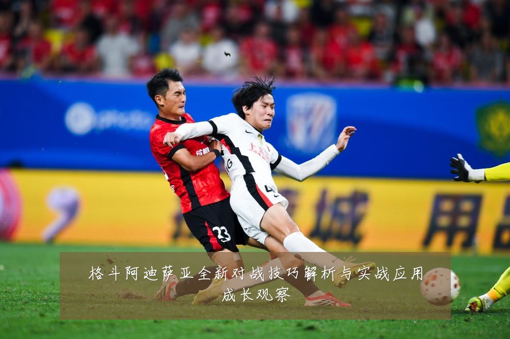 格斗阿迪萨亚全新对战技巧解析与实战应用成长观察